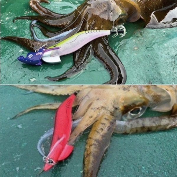  エギゾーTRスマートフィット 3.5号 30g